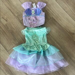 Disney | Costumes | Disney Enchanted Fairy Costume Purple And Green  Halloween | Poshmark